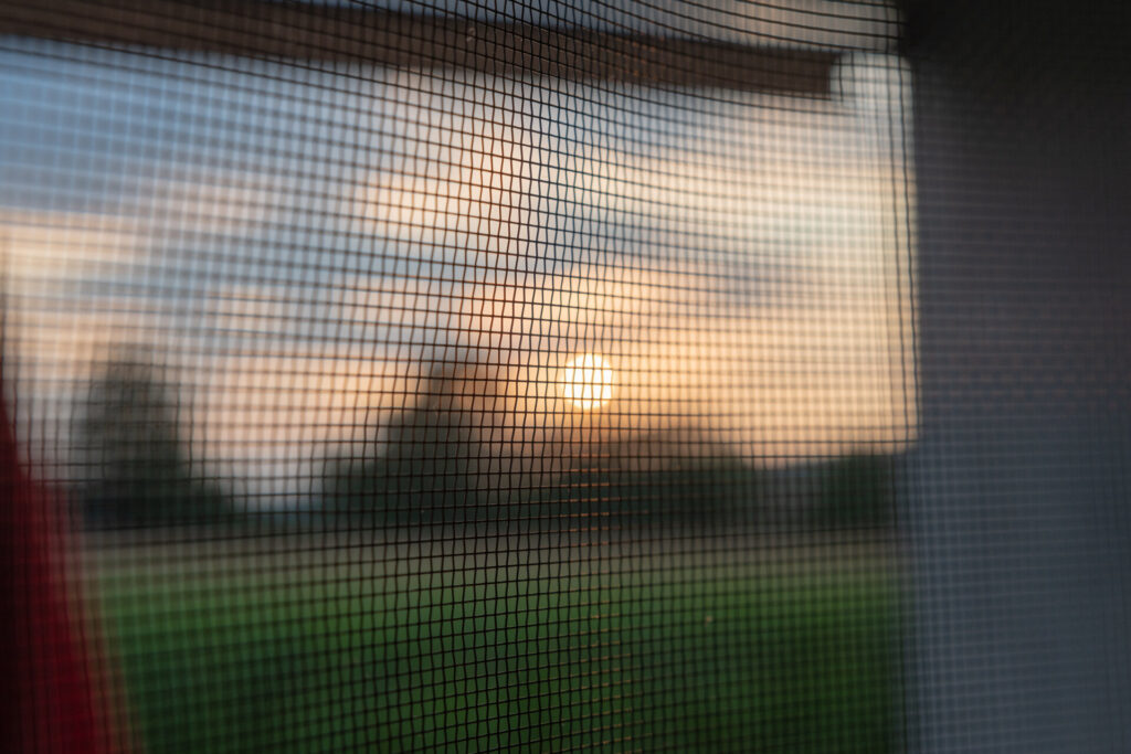 Schwarzes Insektenschutzgitter am Fenster mit Sonnenlicht